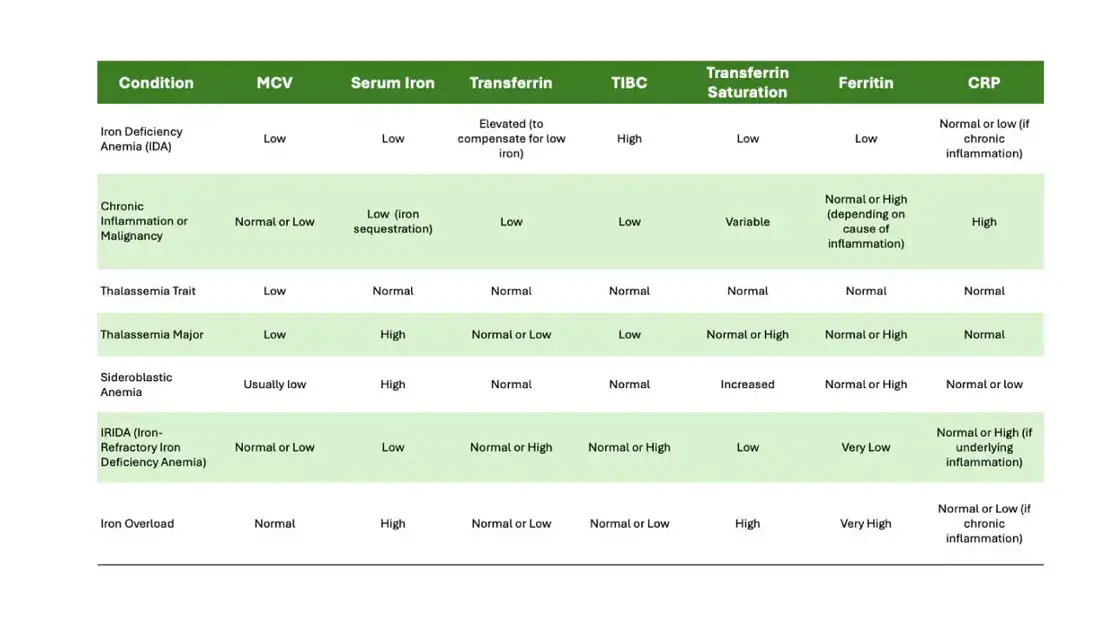 Interpreting iron studies involves analyzing a combination of markers to assess iron status and diagnose potential underlying conditions. CRP is not routinely included in iron studies but aids in interpreting other tests when inflammation is suspected.