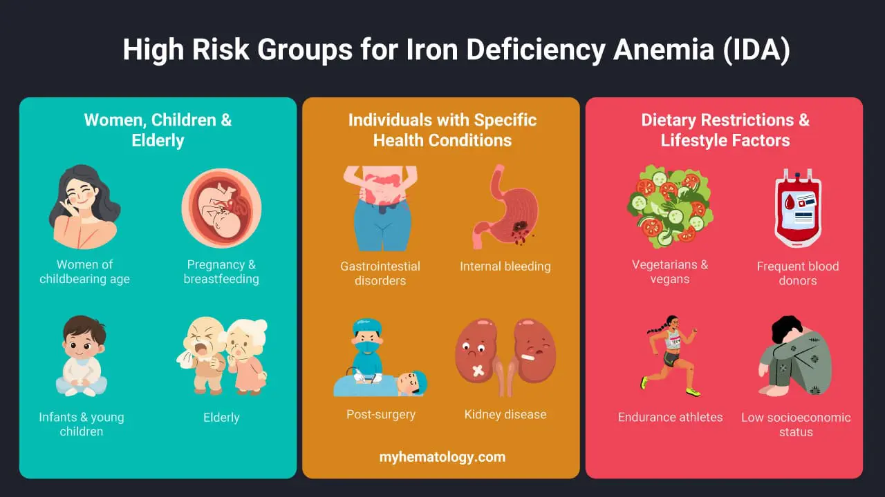 High-risk groups for iron deficiency anemia (IDA) include women of childbearing age, especially those with heavy menstrual bleeding, and pregnant or breastfeeding women due to increased iron demands. Infants and young children are also vulnerable because of their rapid growth. Individuals with chronic blood loss from gastrointestinal conditions like ulcers or colon polyps, or those with malabsorption disorders like celiac disease or inflammatory bowel disease, are also at high risk. Lastly, vegetarians and vegans may be at risk because non-heme iron from plant sources is less efficiently absorbed, and frequent blood donors can deplete their iron stores over time.