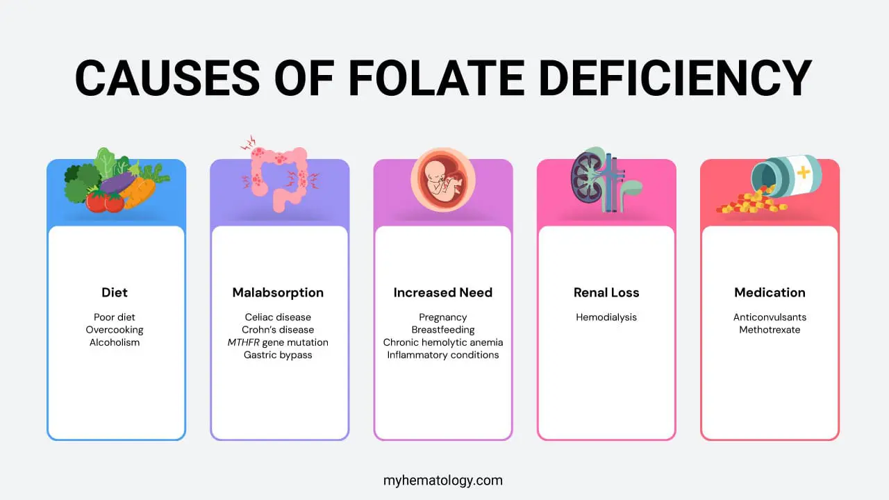 Causes of folate deficiency