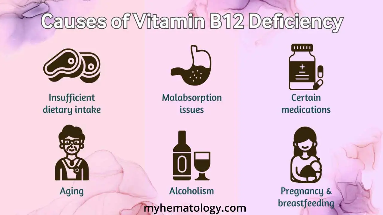 Causes of Vitamin B12 deficiency