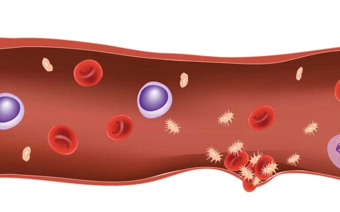 Primary Hemostasis: The Platelet Plug