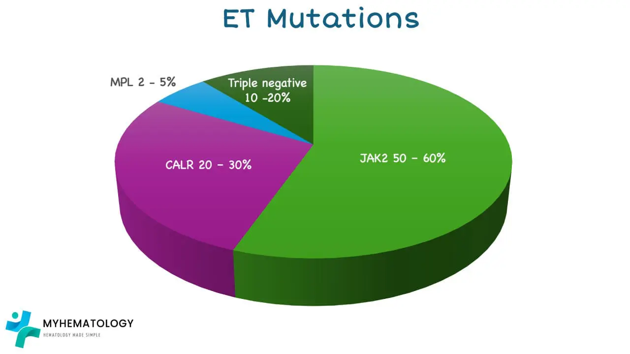 This pie chart depicts the distribution of JAK-STAT mutations found in essential thrombocythemia (ET)