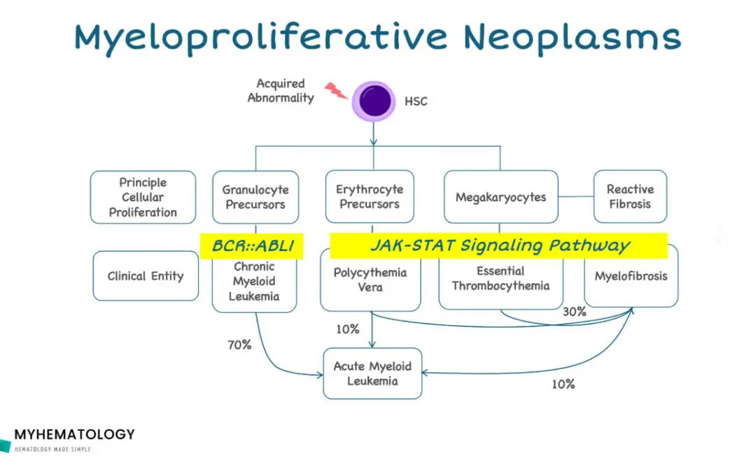 Myeloproliferative Neoplasms (MPNs)