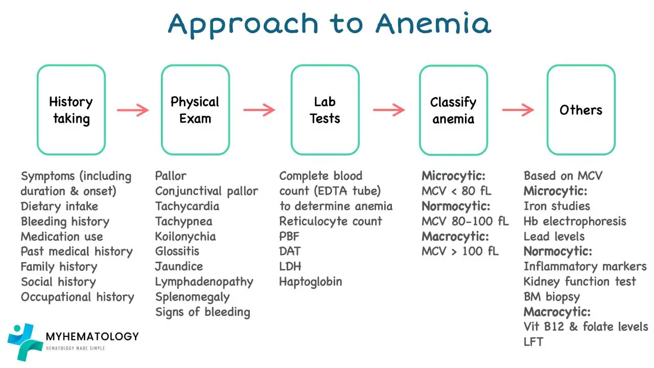 Systemic approach to anemia