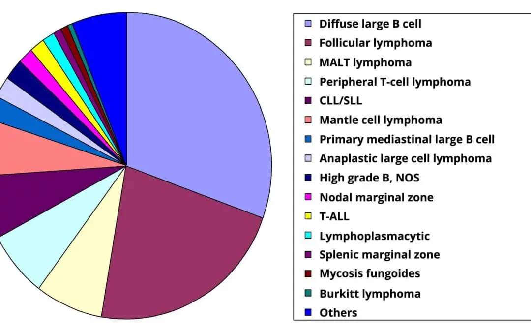Non-Hodgkin Lymphoma (NHL): Symptoms & Subtypes