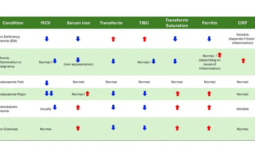 Iron Studies Interpretation: The Highs and Lows