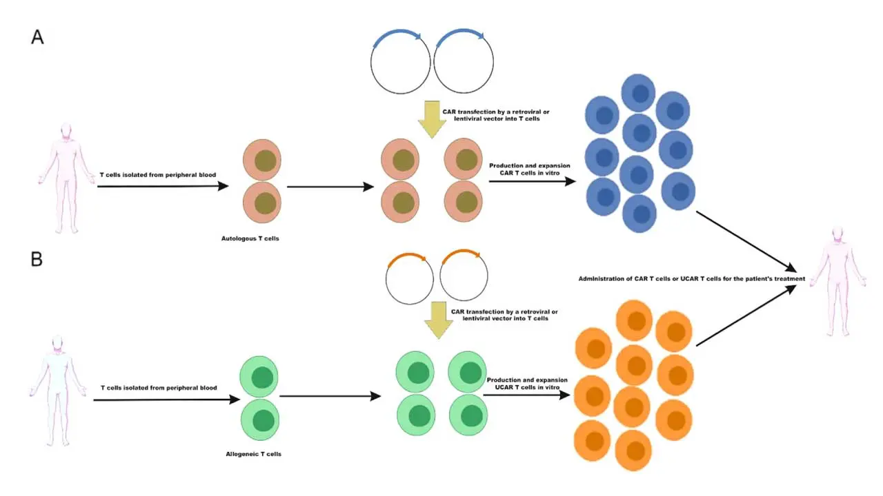 CAR T-Cell Treatment