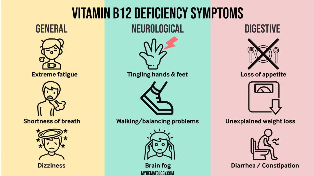 Symptoms of B12 deficiency