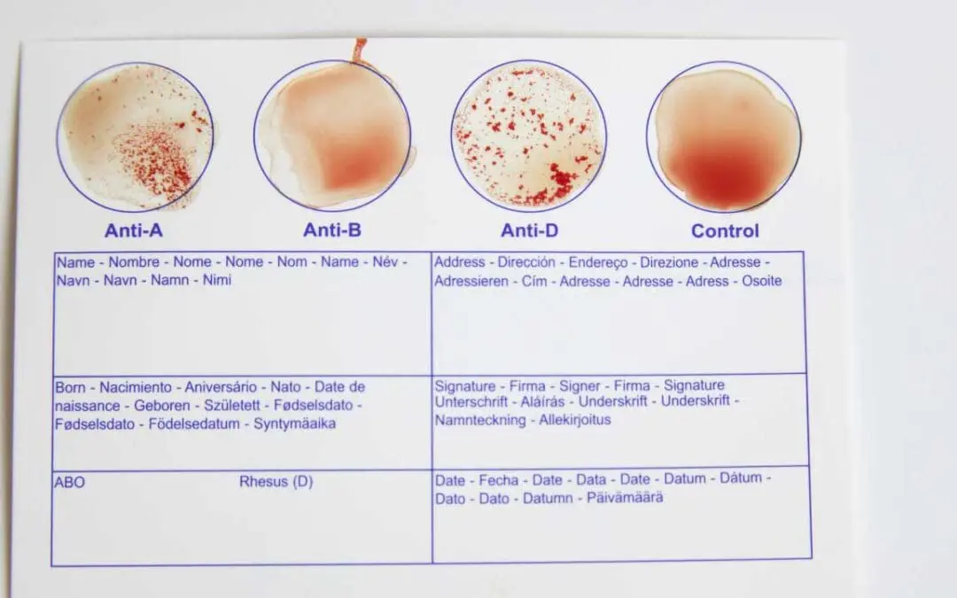 Blood Typing: Exploring Blood Type Tests and Beyond
