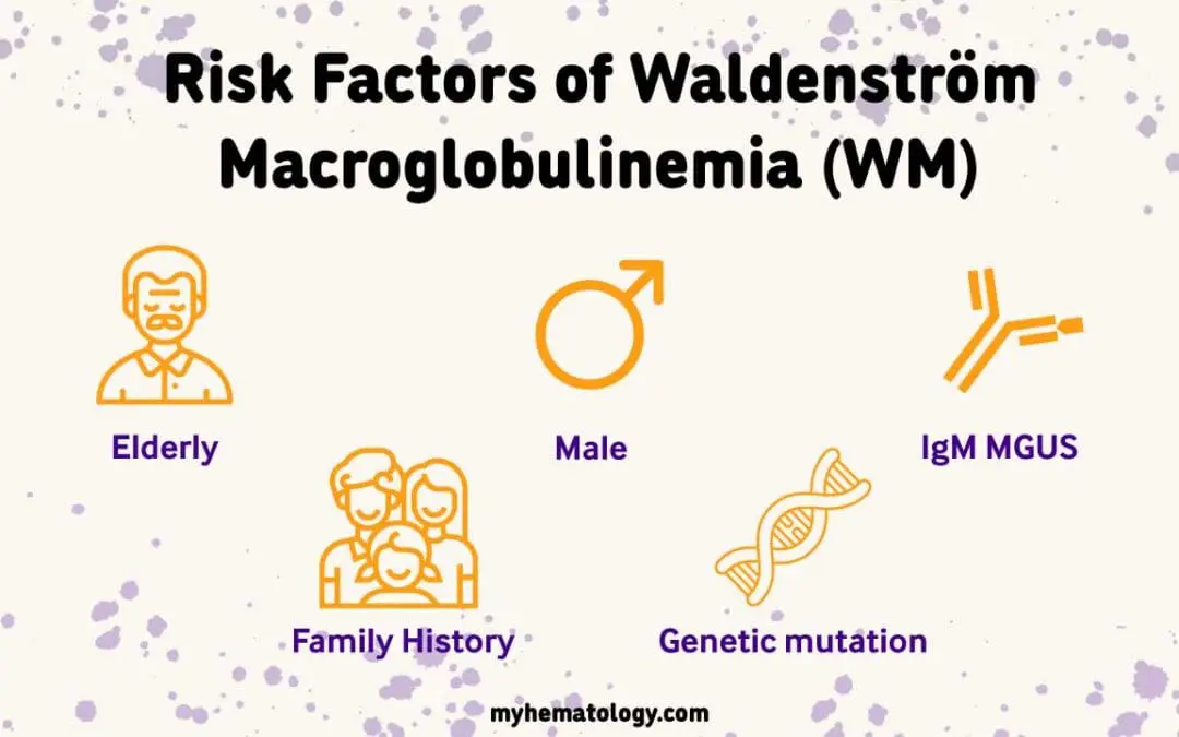 Waldenström Macroglobulinemia
