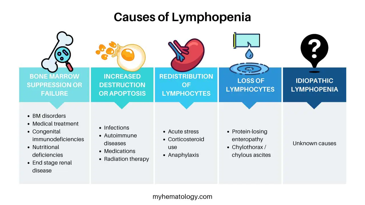 Lymphopenia is often a sign of an underlying cause. Lymphopenia usually resolves when the underlying cause is treated. 
