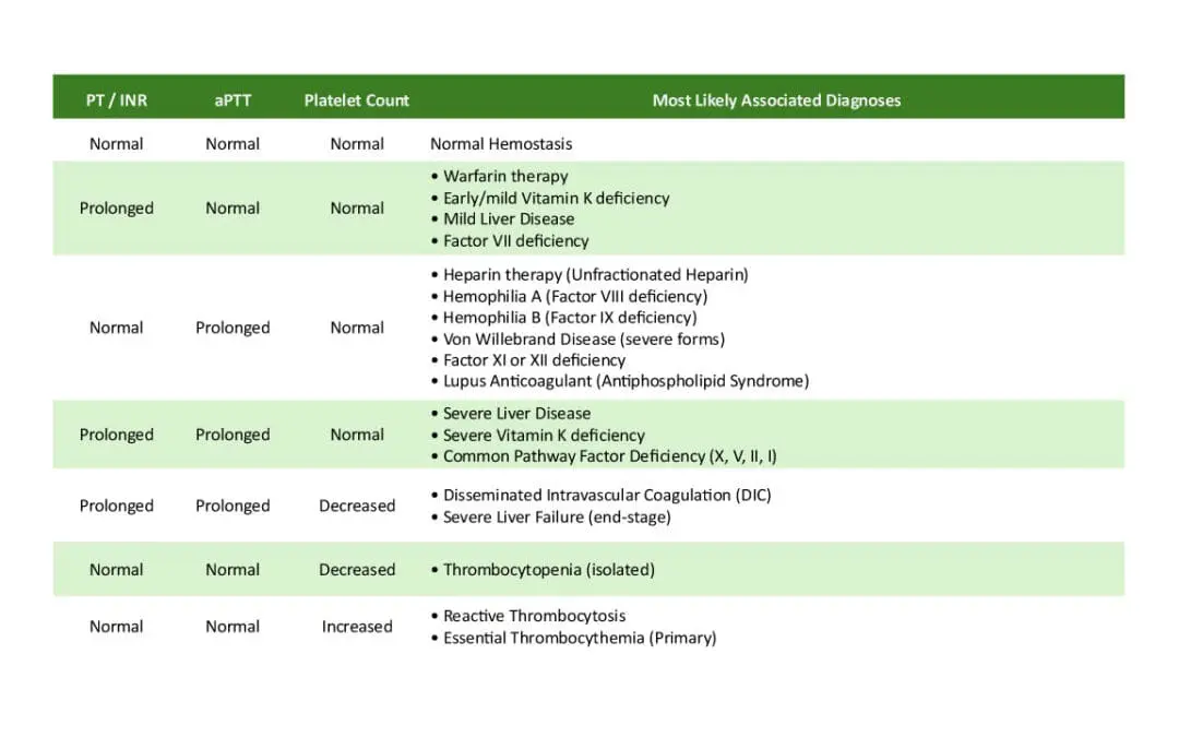 Coagulation Screening Panel Interpretation (Coagulation Panel)