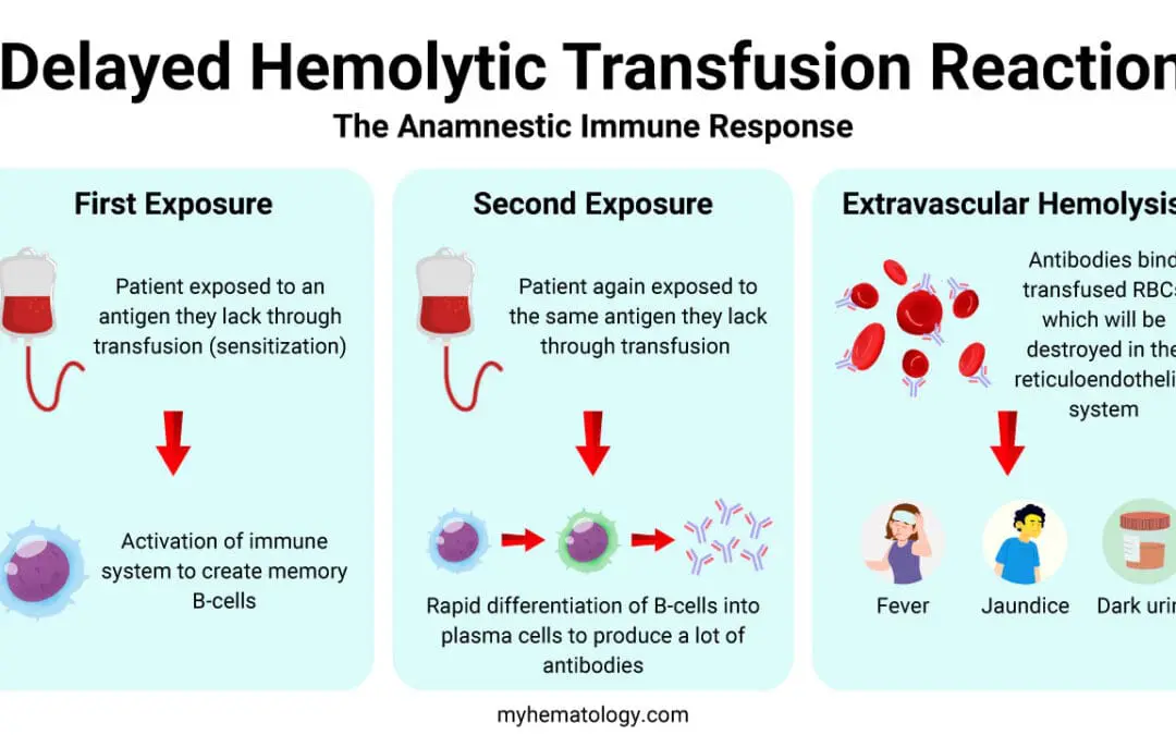 Delayed Hemolytic Transfusion Reaction