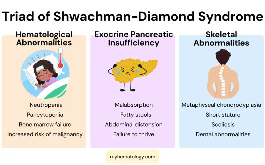Shwachman-Diamond Syndrome (SDS)