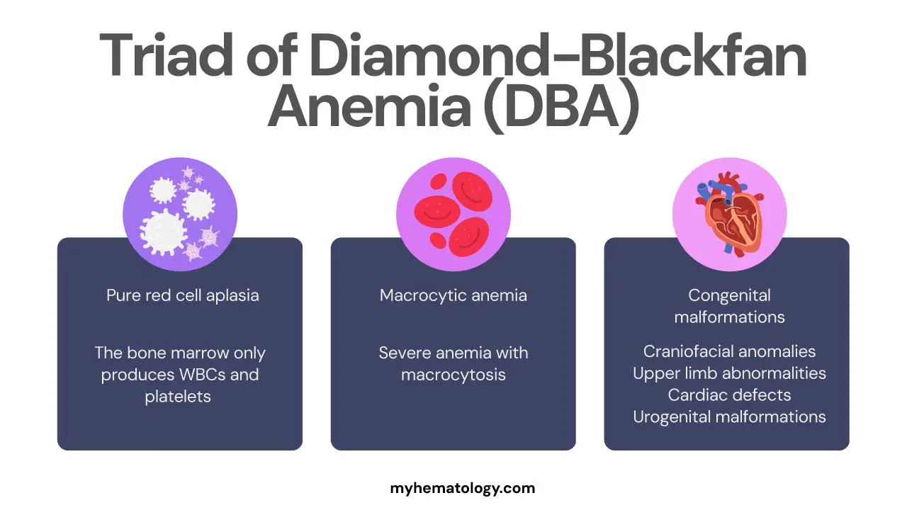 Diamond-Blackfan Anemia (DBA)