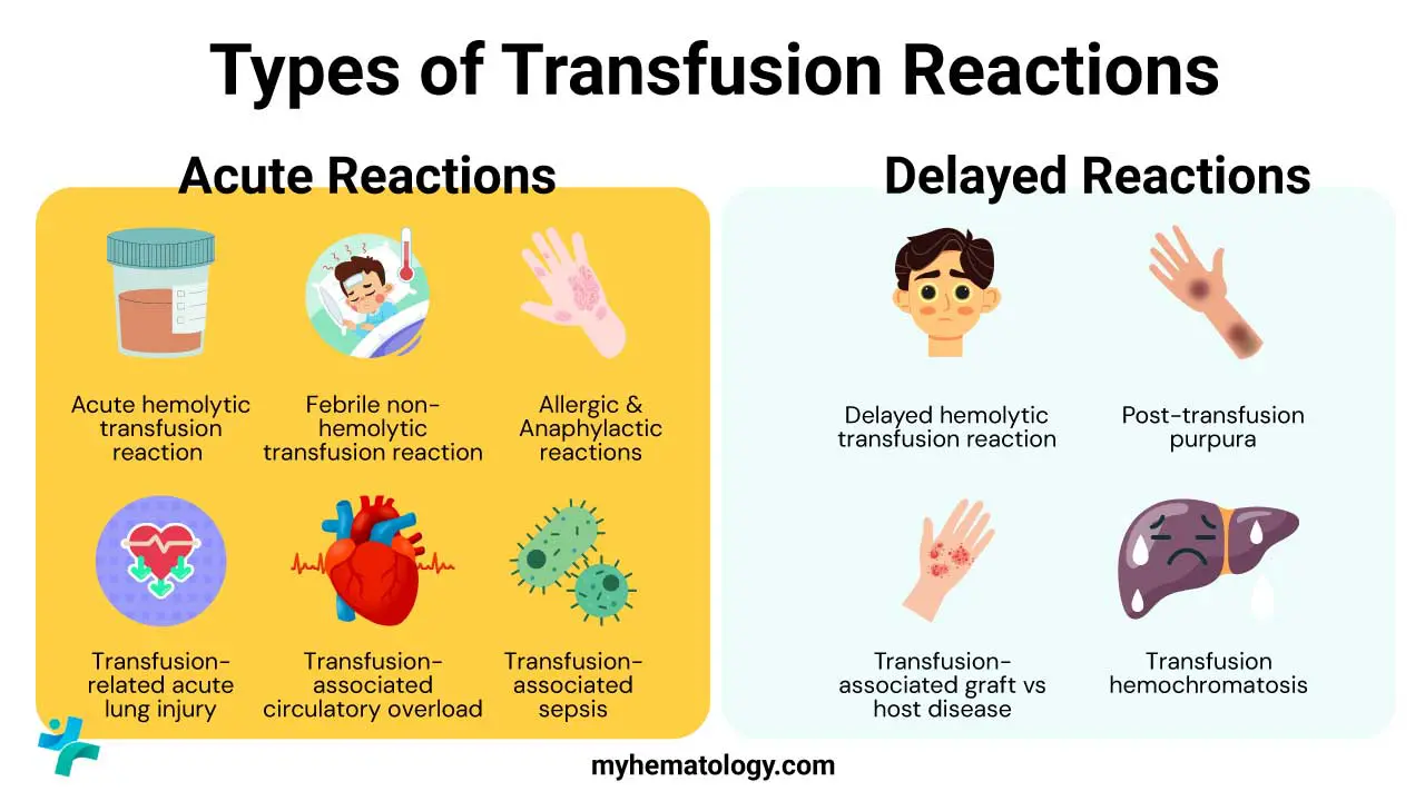 Types of transfusion reactions can be classified by their onset i.e. acute vs delayed