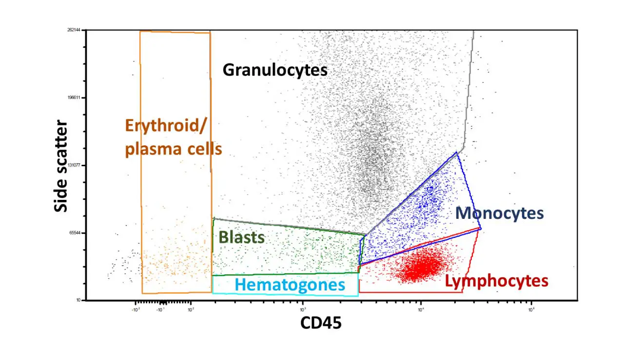 Flow cytometry immunophenotyping of blood | My Hematology