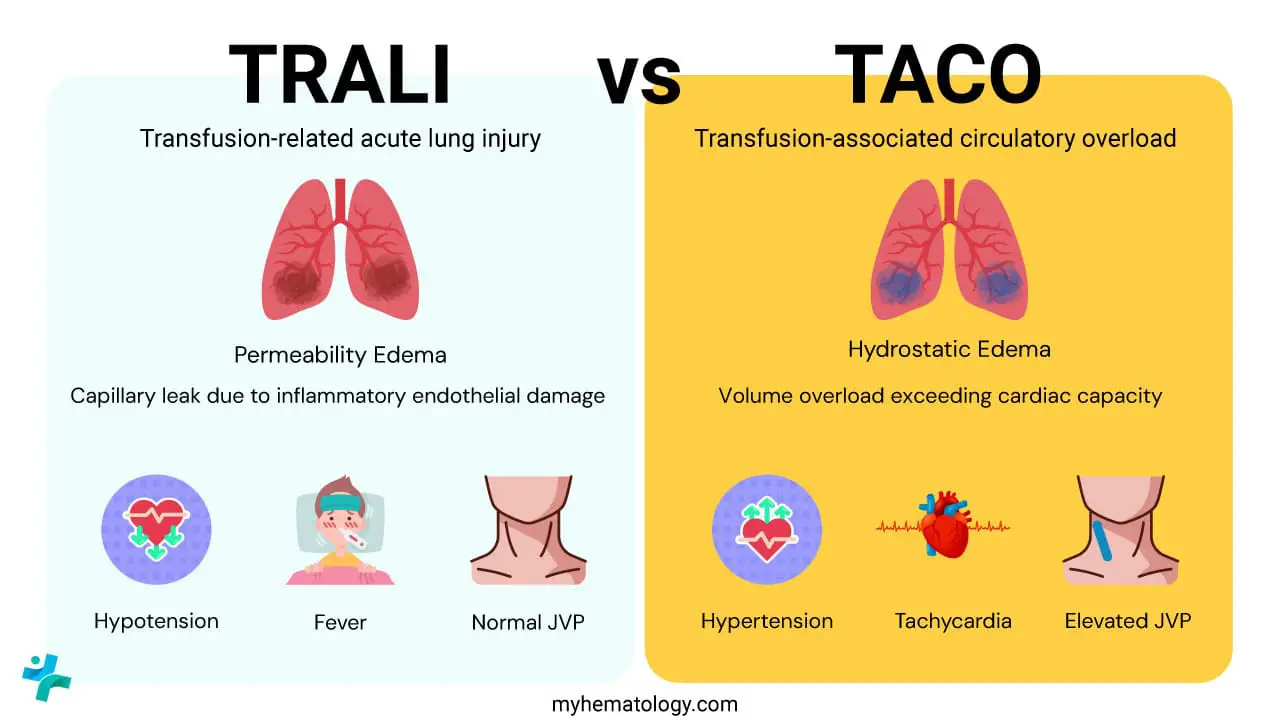 TRALI vs TACO