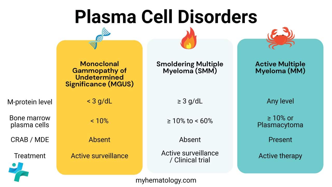 Differences between MGUS, SMM and MM